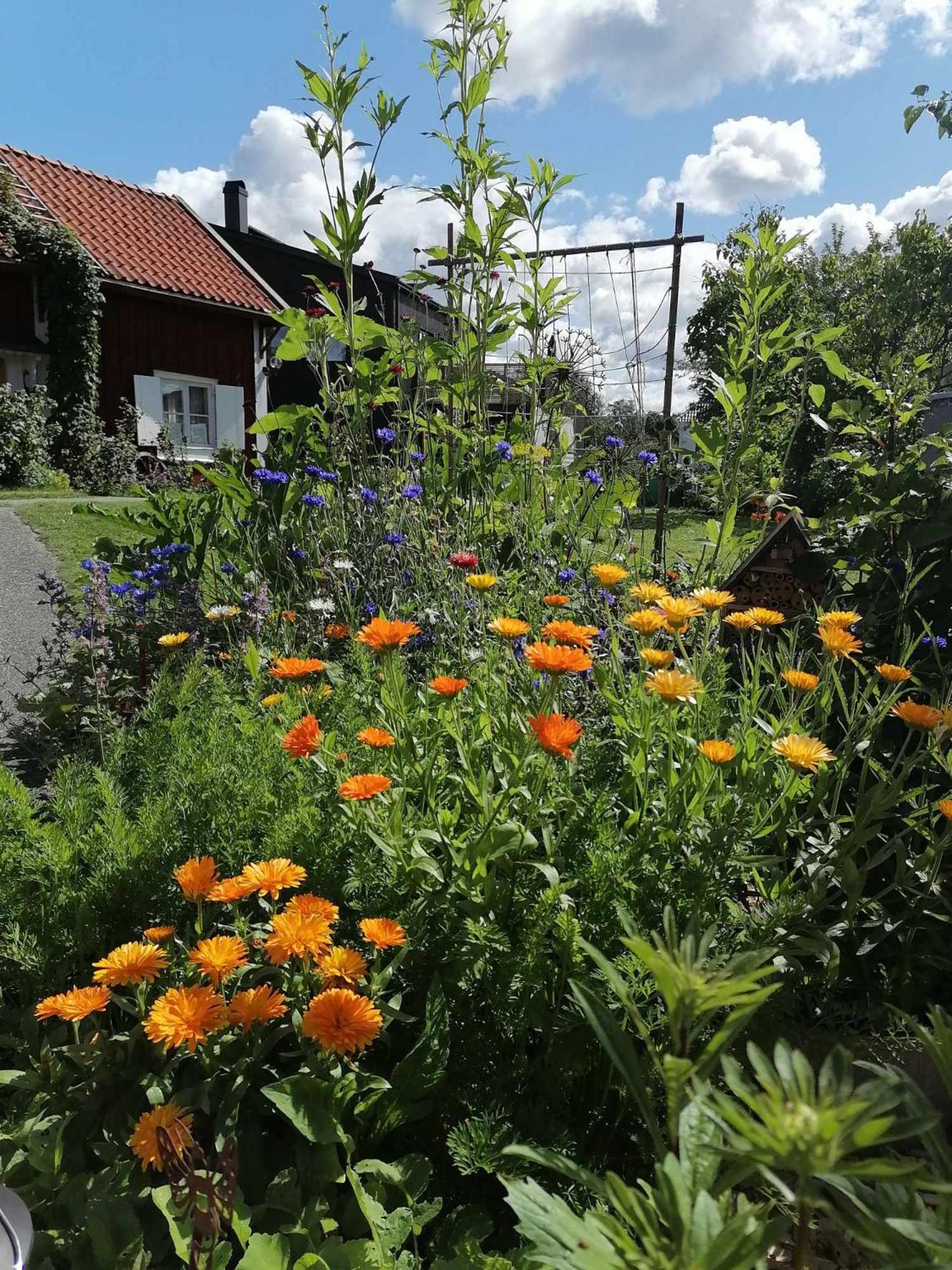 Rustik Stuga Med Lantlig Kaensla Naera Oerebro City Exterior photo